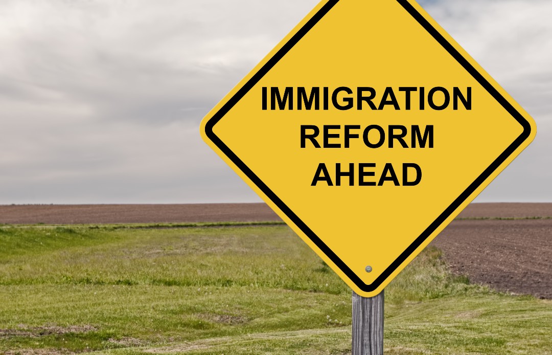 Adoption of the draft law to amend several provisions related to the control of immigration